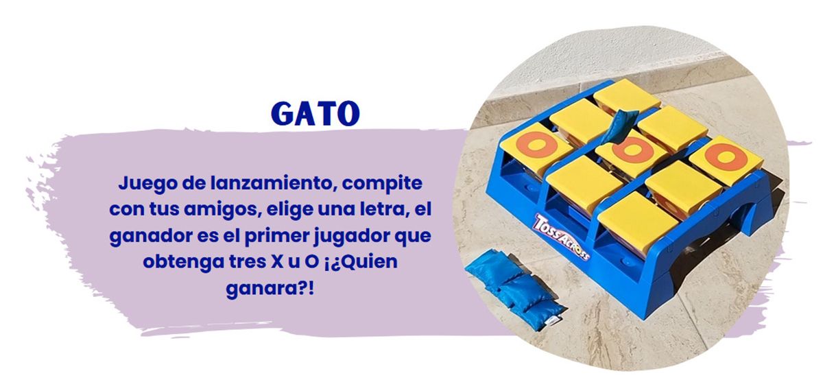 gato